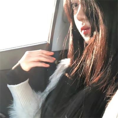 精武飞鸿